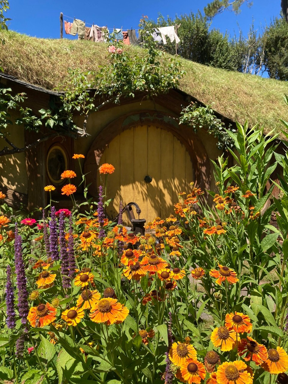 Neuseeland - Matamata - 