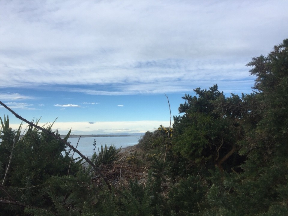 Neuseeland - Coldstream - Übernachtung in Rangitata