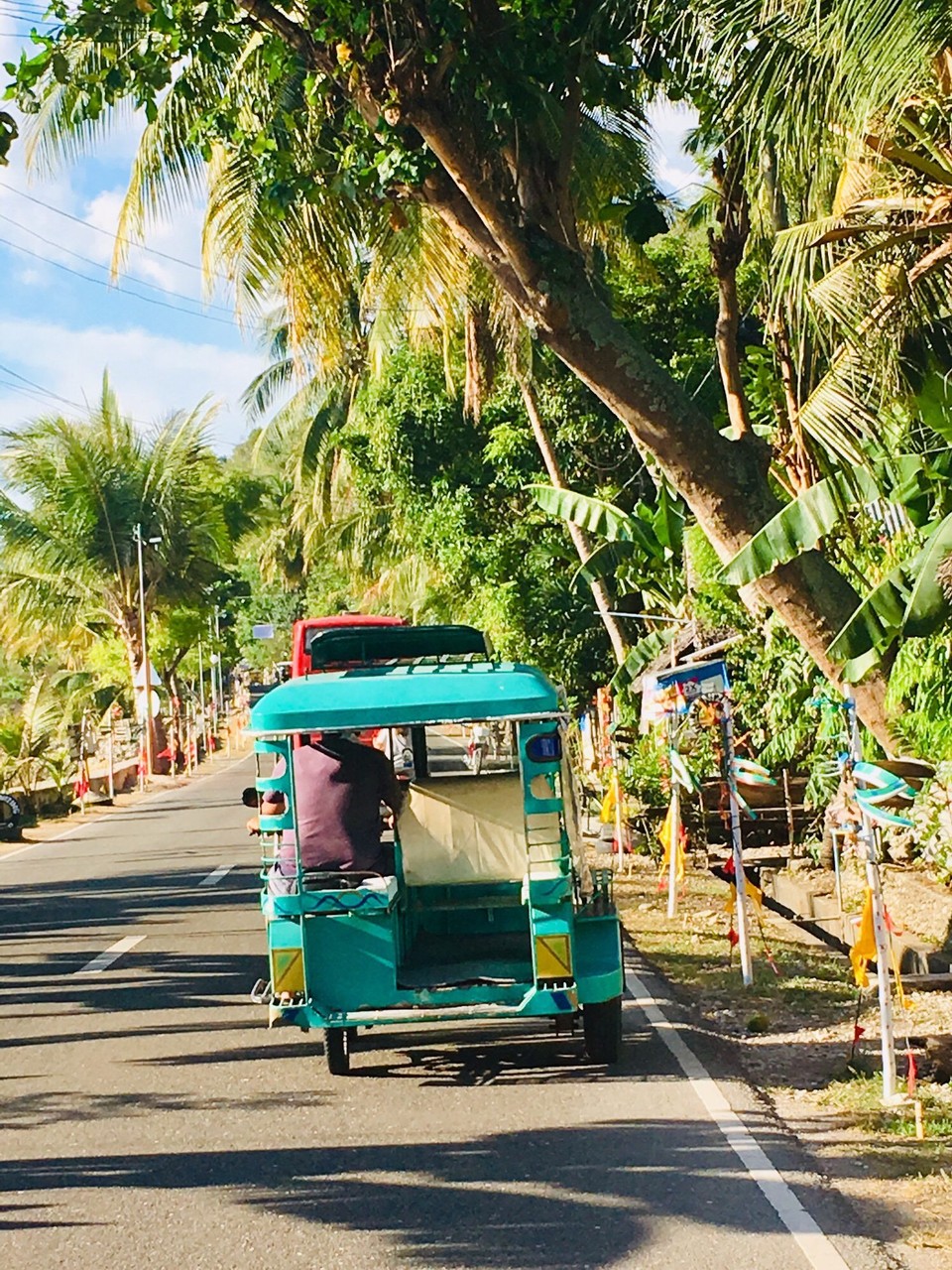 Philippines - Moalboal - Langs veien