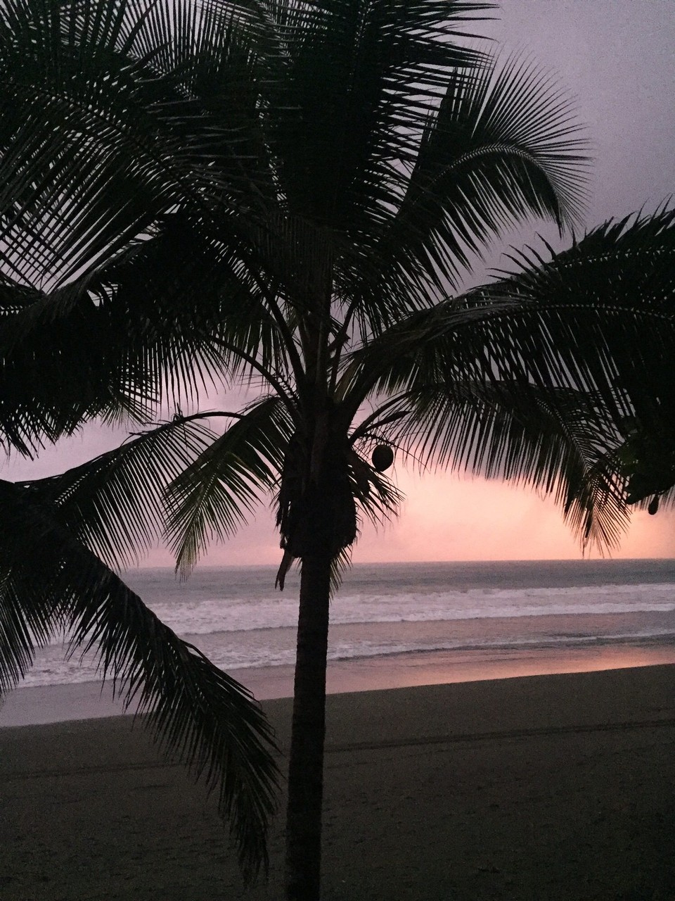 Costa Rica - Osa - 
