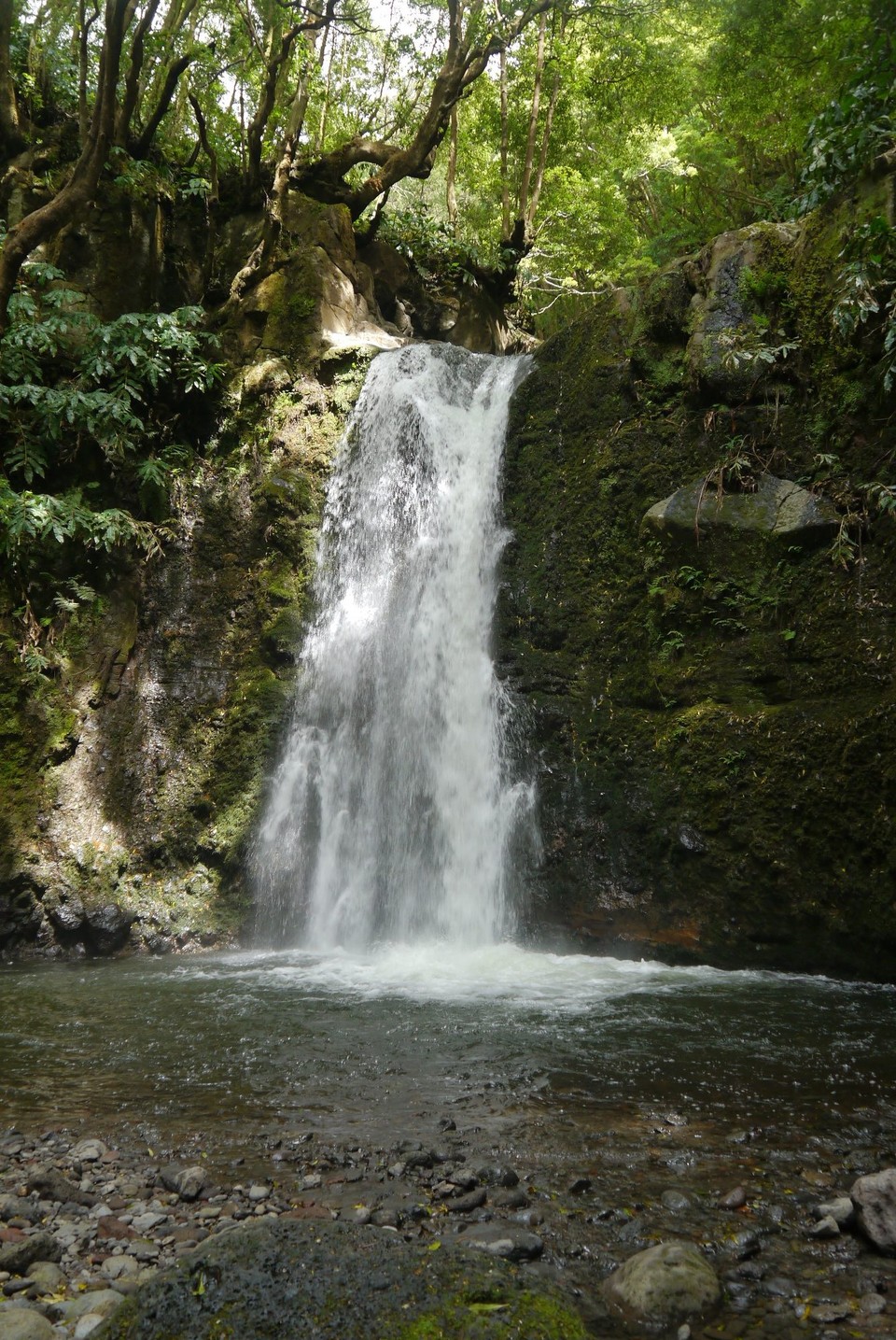 Portugal - Faial da Terra - Der Wasserfall Salto do Prego.