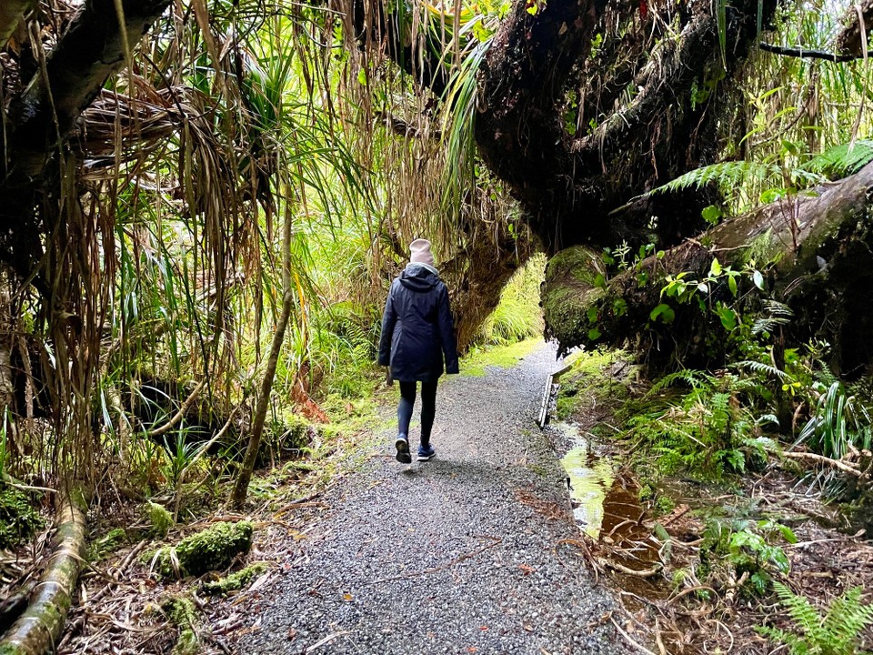 Neuseeland - Haast - 