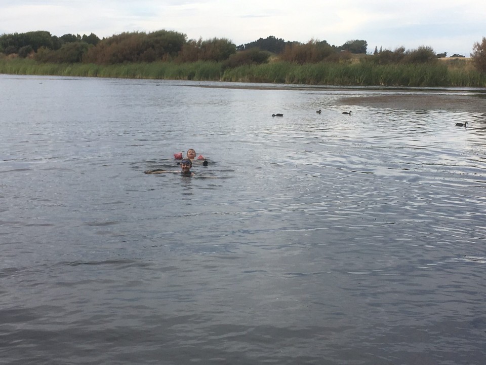 Neuseeland - Kaitoke - ... sind wir schwimmen gegangen! Das Wasser war kalt 🥶. Bibber 