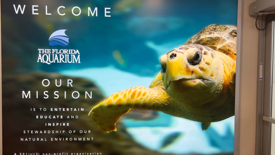 Vereinigte Staaten - Tampa - 