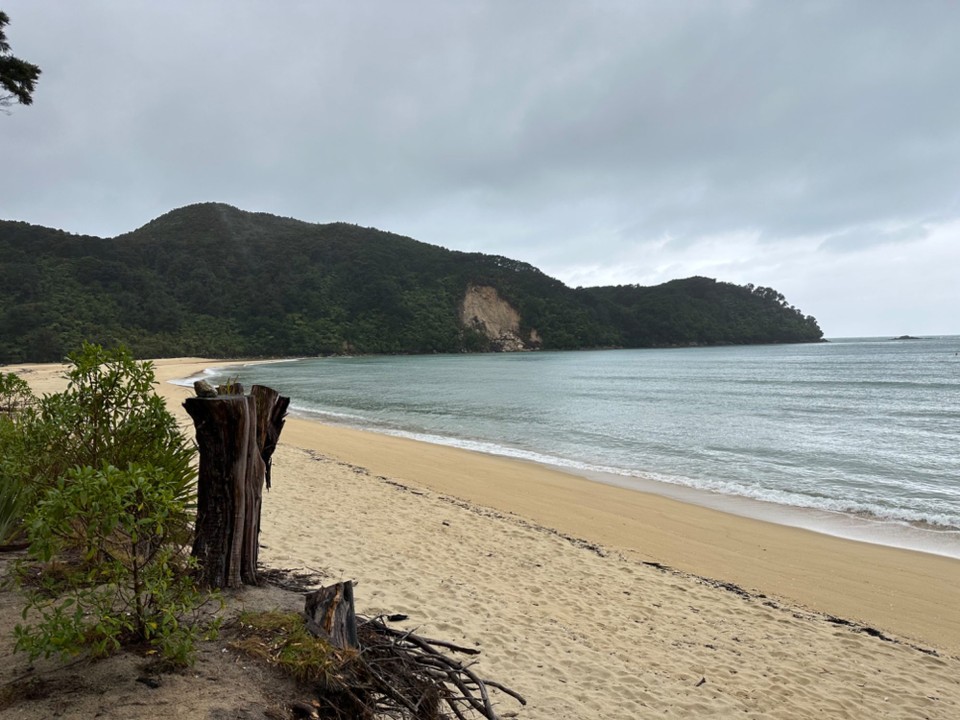 Neuseeland - Abel Tasman National Park - 