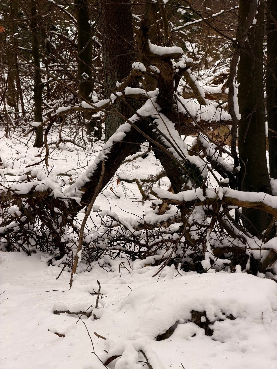 Deutschland - Cuxhaven - 