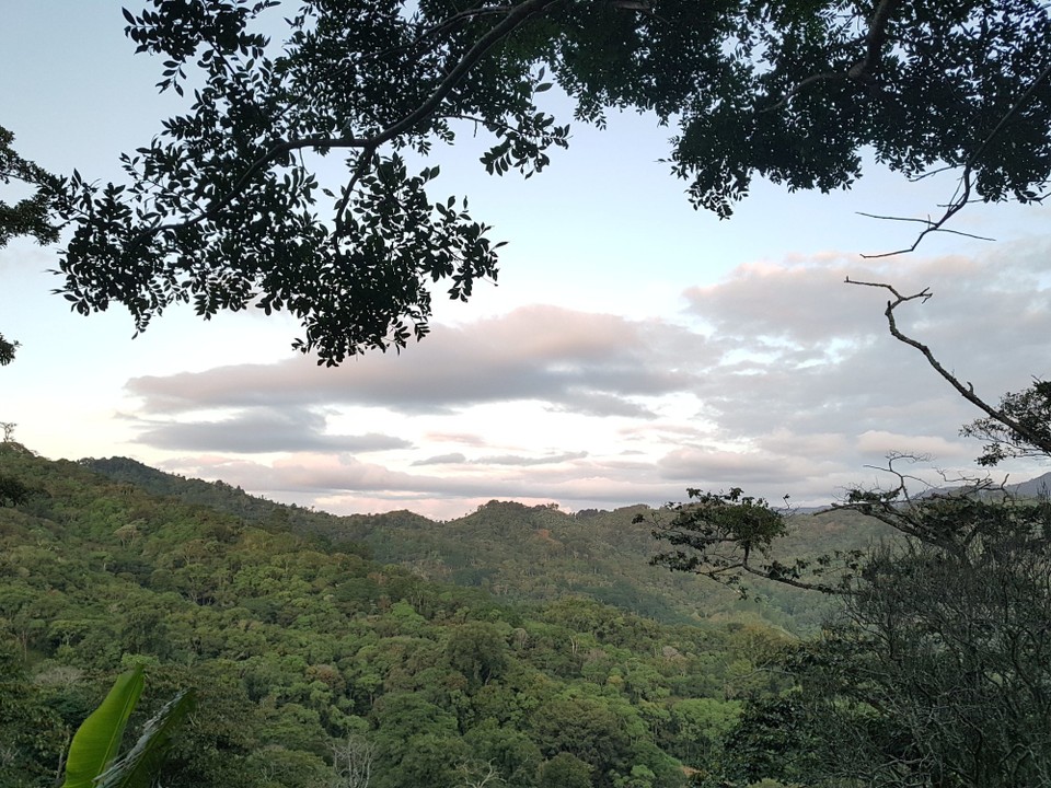 Nicaragua - Dipilto - Umgebung der Finca