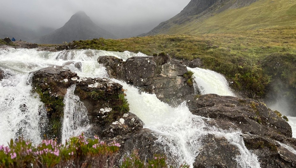 United Kingdom - Grula - 