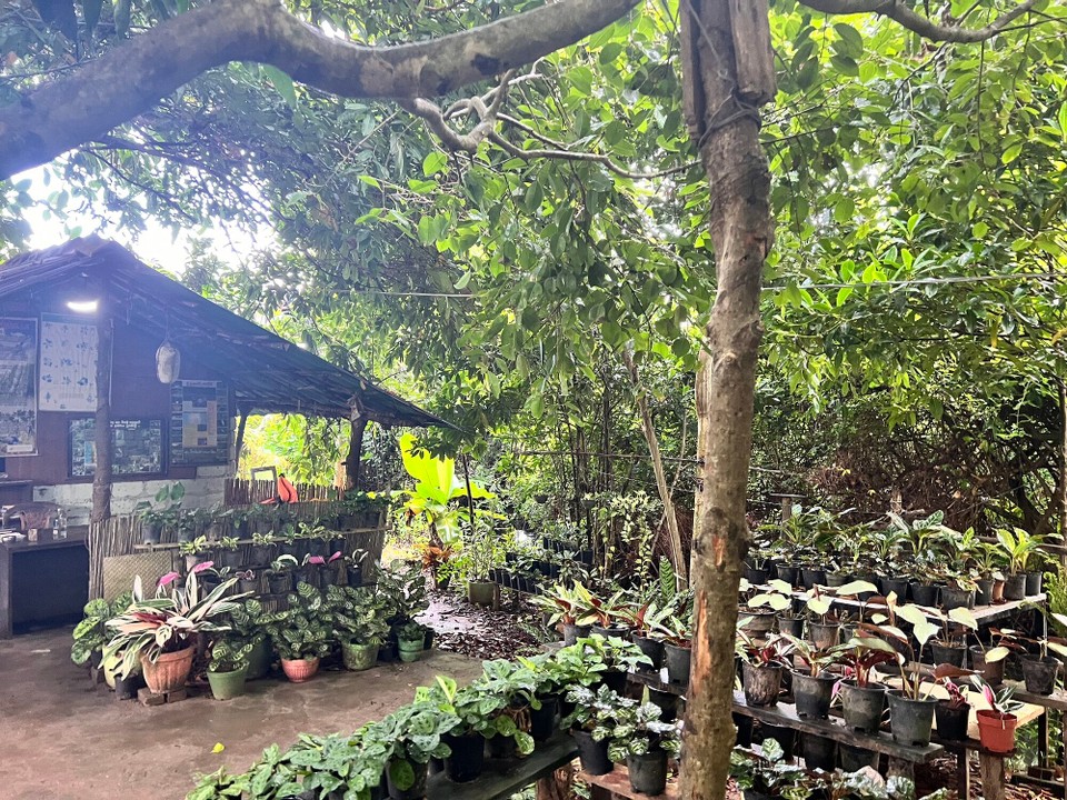 Sri Lanka -  - 