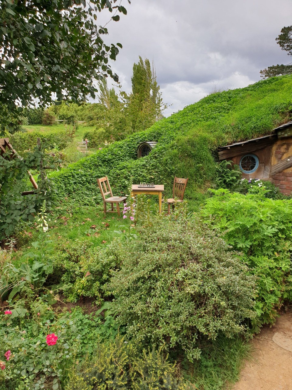 Neuseeland - Matamata - 