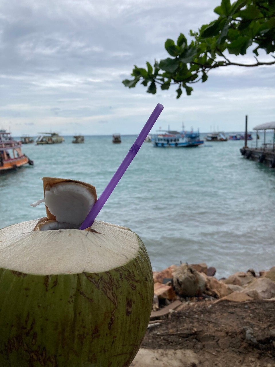 Thailand - Mueang Chumphon - Abschiedsgetränk - frische Kokosnuss