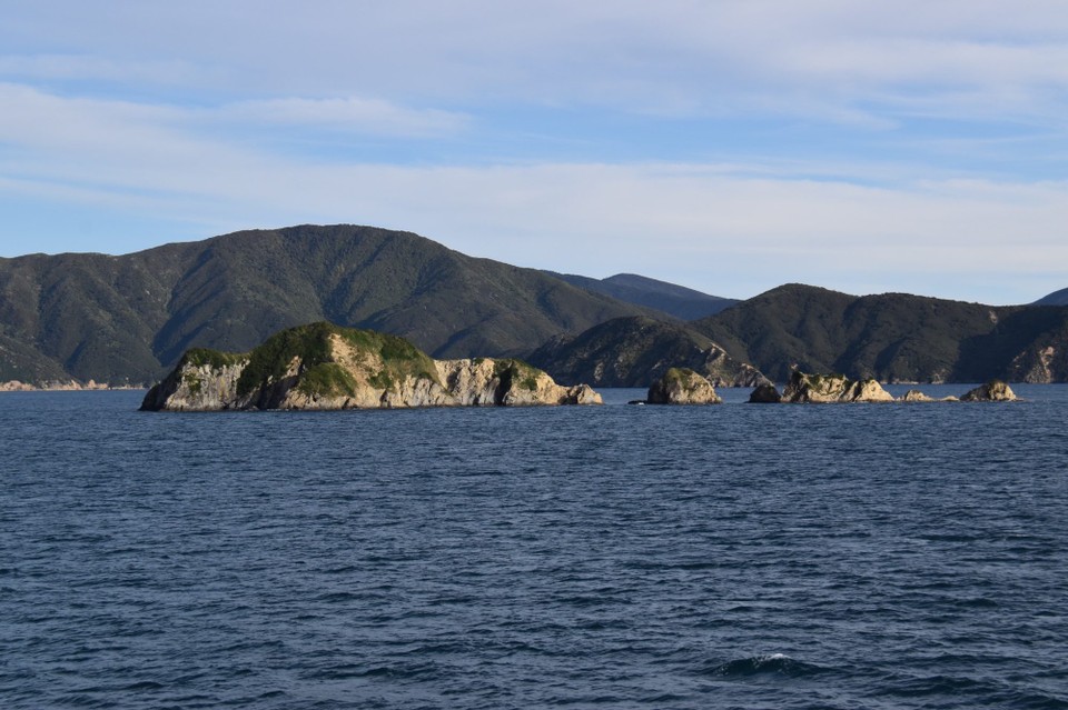 Neuseeland - Picton - Echt schön wenn man hier in die Fjorde reinfährt.