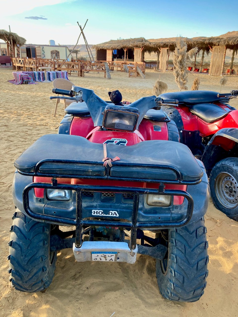 Egypt - Cairo - Yes, I have a license!