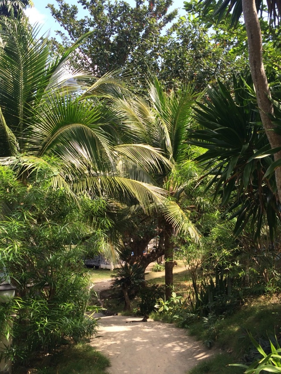 Thailand - Ko Phangan - 