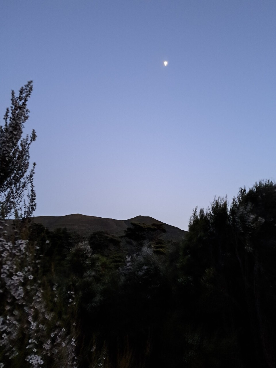 Neuseeland - Saint Arnaud - 