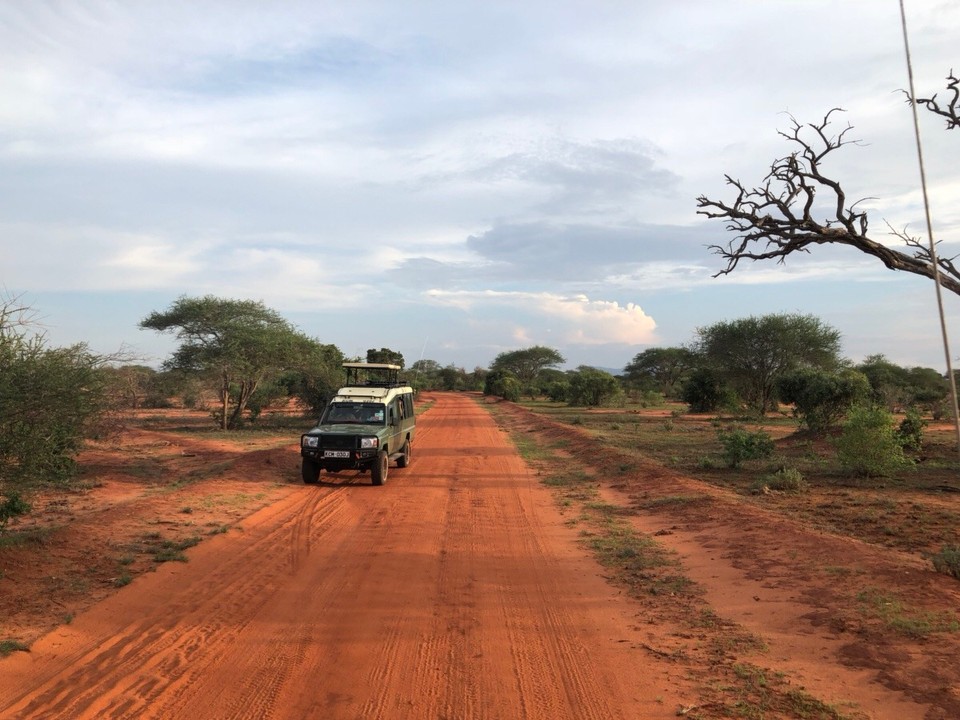 Kenia - Taita - 