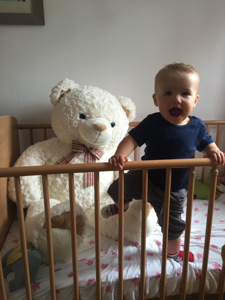 Deutschland - Soest - Alma freut sich wieder Zuhause zu sein