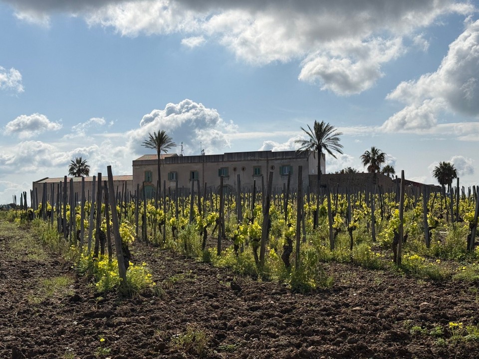 Italien - Castellammare del Golfo - Blick zurück auf unser Weingut