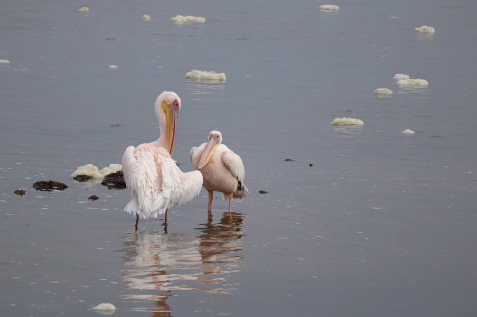 Namibia - Walvisbaai - 