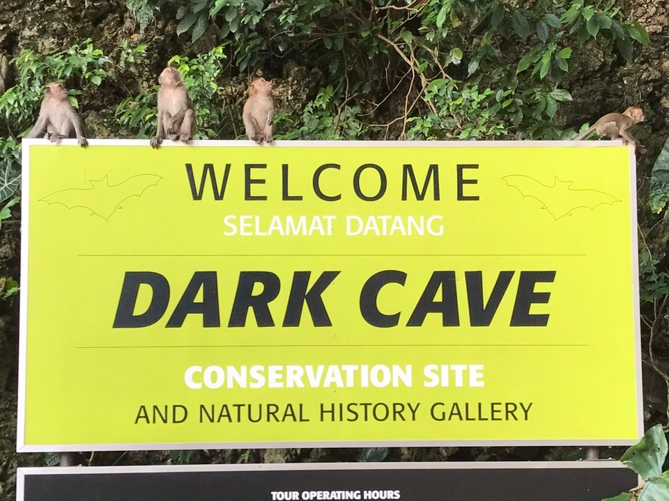 Malaysia -  - Unsere Ankunft bei den Batu Caves wurde schon erwartet 