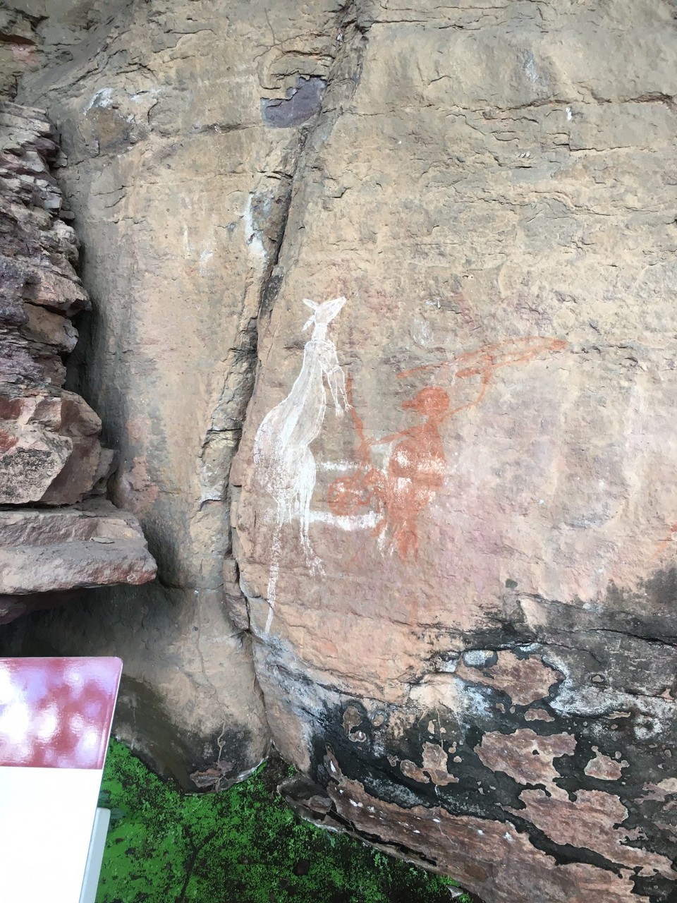 Australien - Kakadu - 