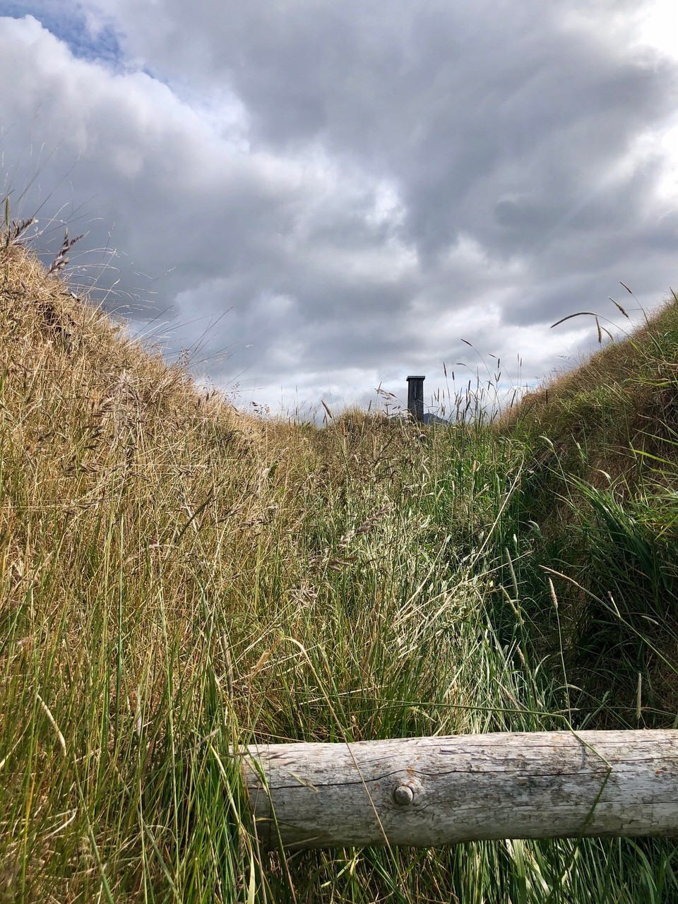 Island - Hólar - Zwischen den einzelnen Dachböden sieht es so aus. Alles voller Gras.