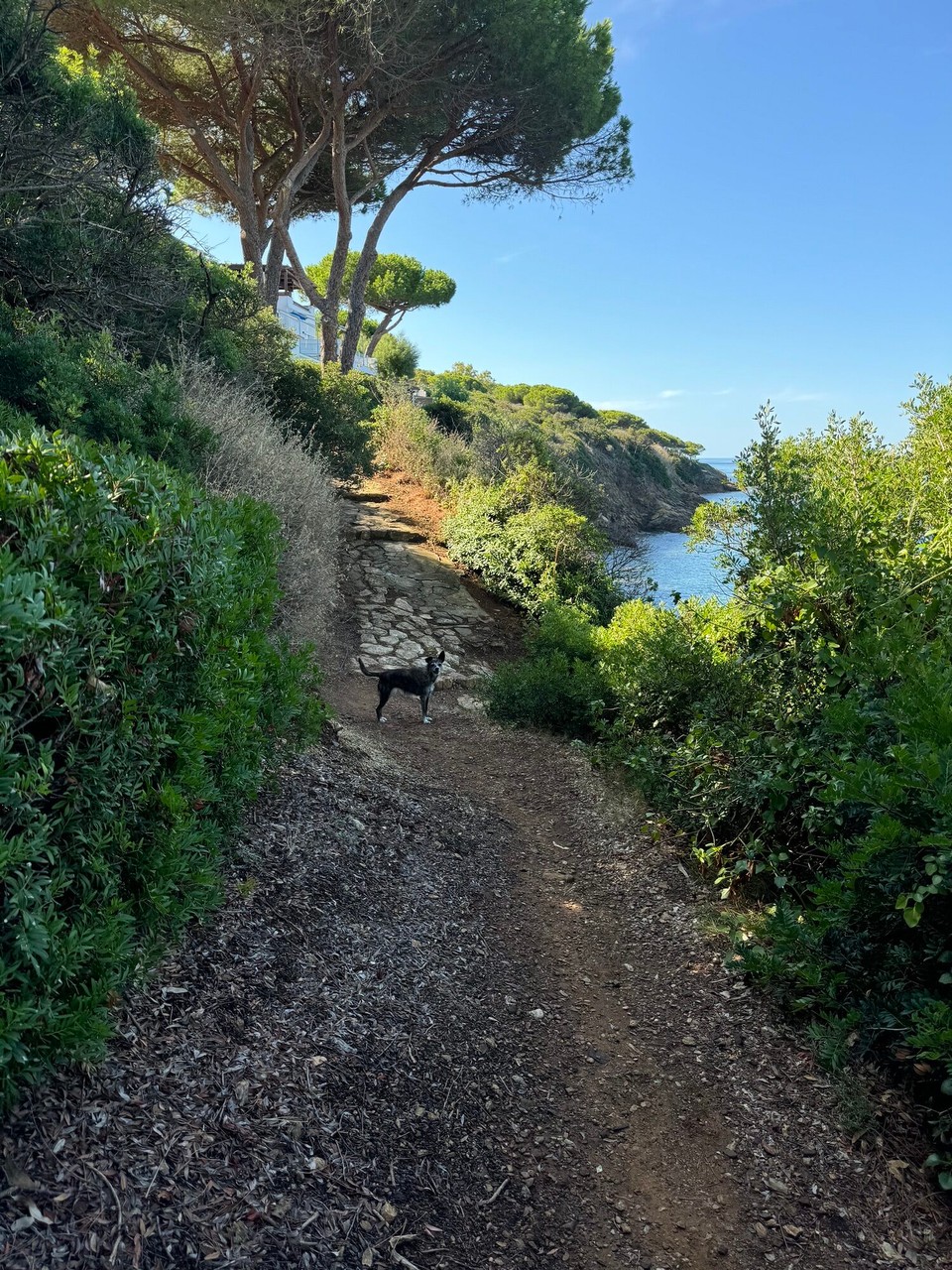 Italien - Porto Azzurro - Dobbsen on tour