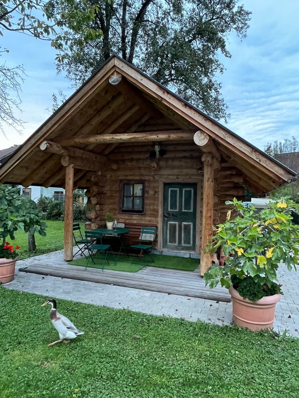 Österreich - Kuchl - 