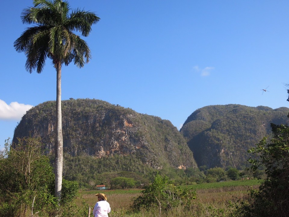  - Cuba, Viñales - Les mogotes