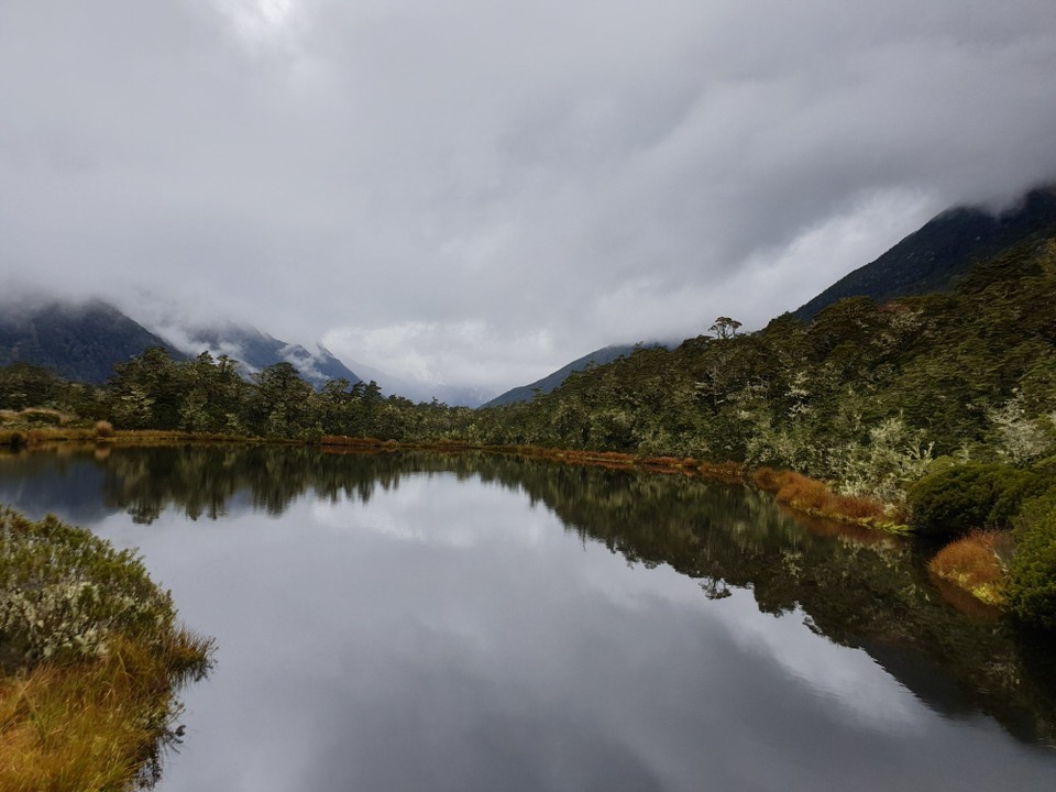 Neuseeland - Kaikoura - 