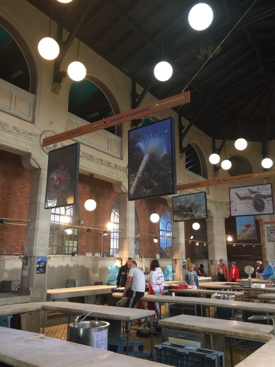 Kroatien - Rijeka - Markthalle für Fisch