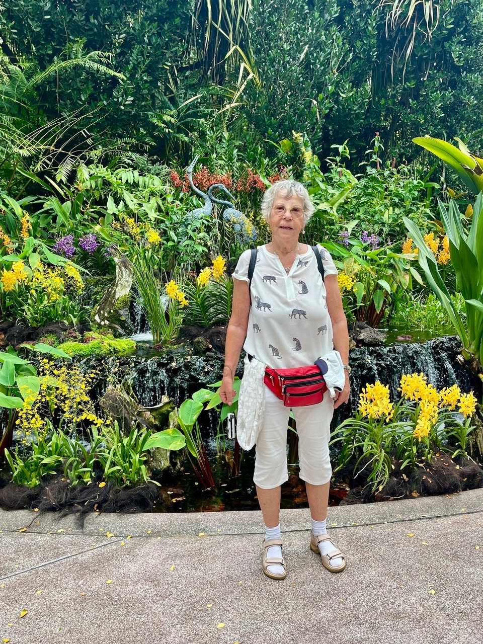 Singapur - Singapur - 