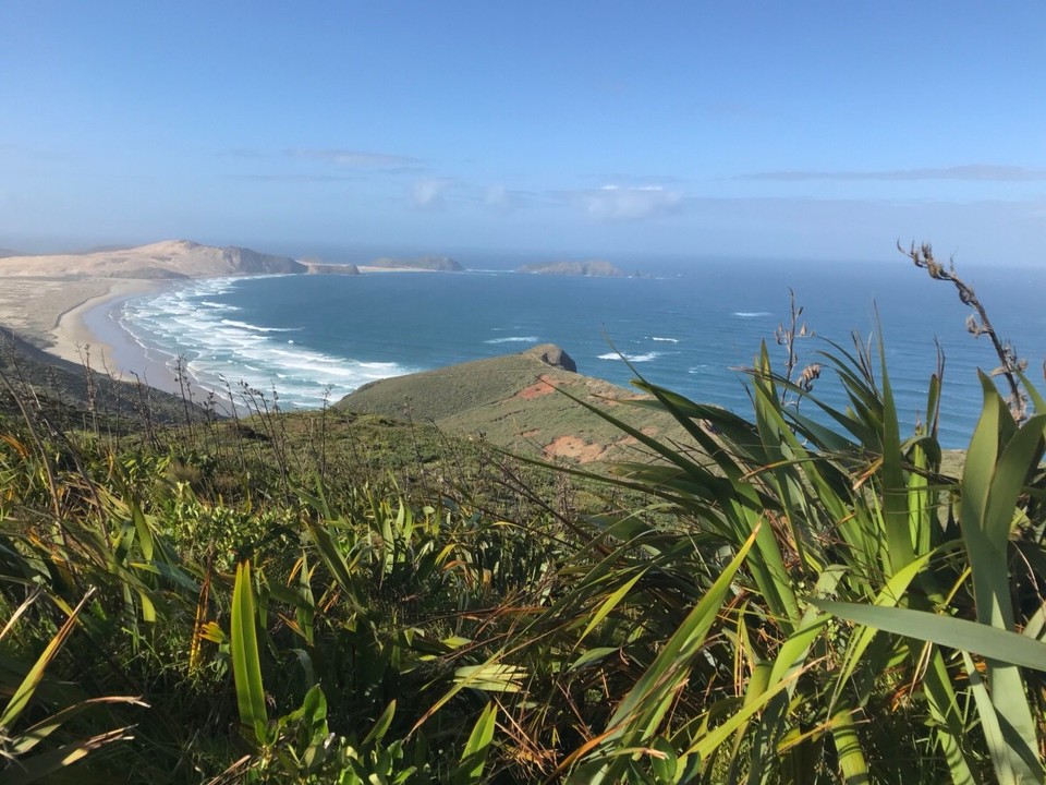 Neuseeland -  - Cape Reinga
