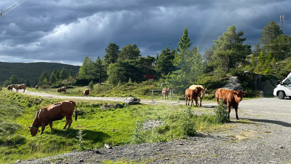 Norwegen - Briksdalsbre - Heute Übernachtung in Gesellschaft 
