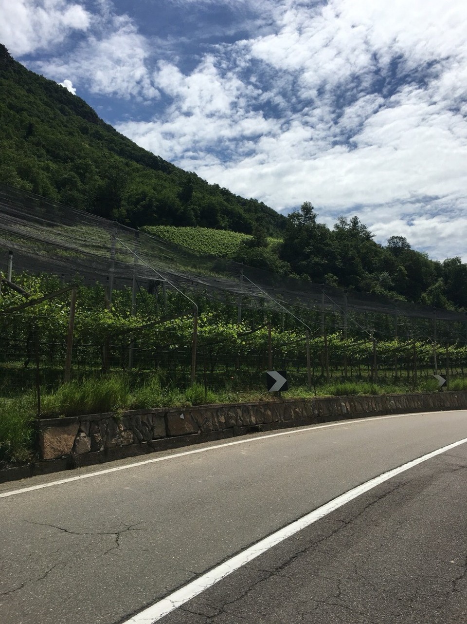Italien - Terlan - 
