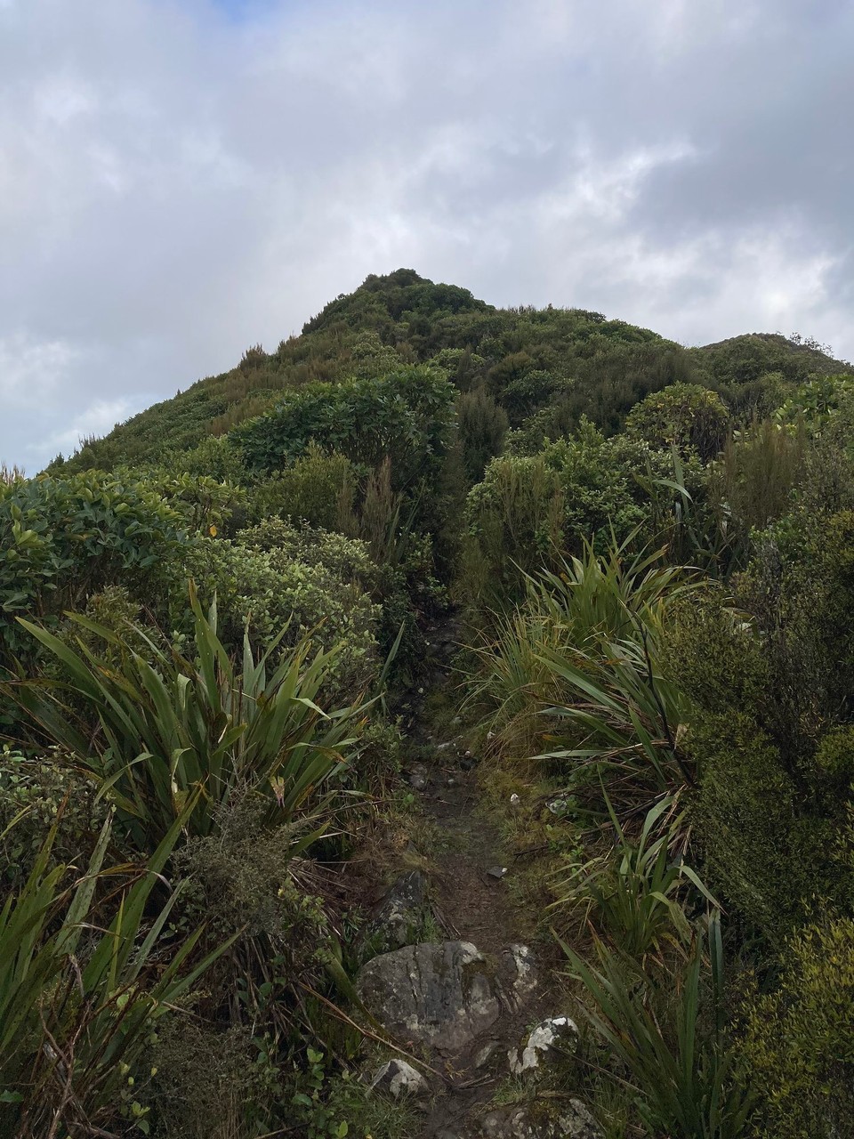 Neuseeland - Gore - 
