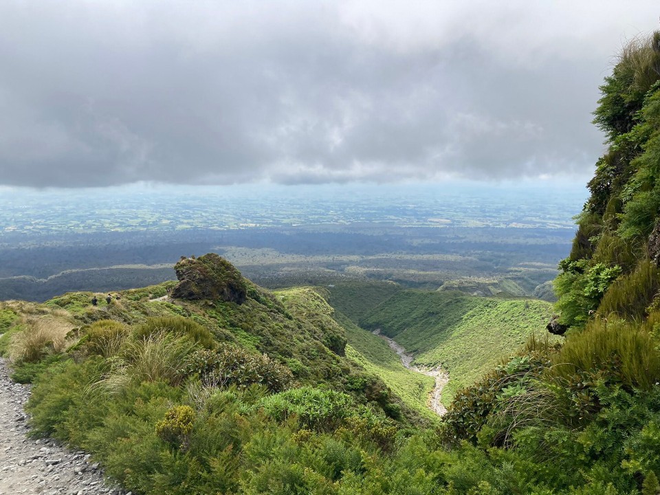 Neuseeland - Egmont National Park - Wieder im grünen Bereich angekommen 😅