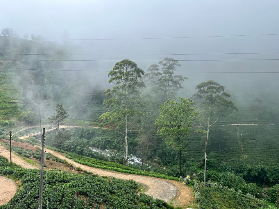 Sri Lanka -  - 