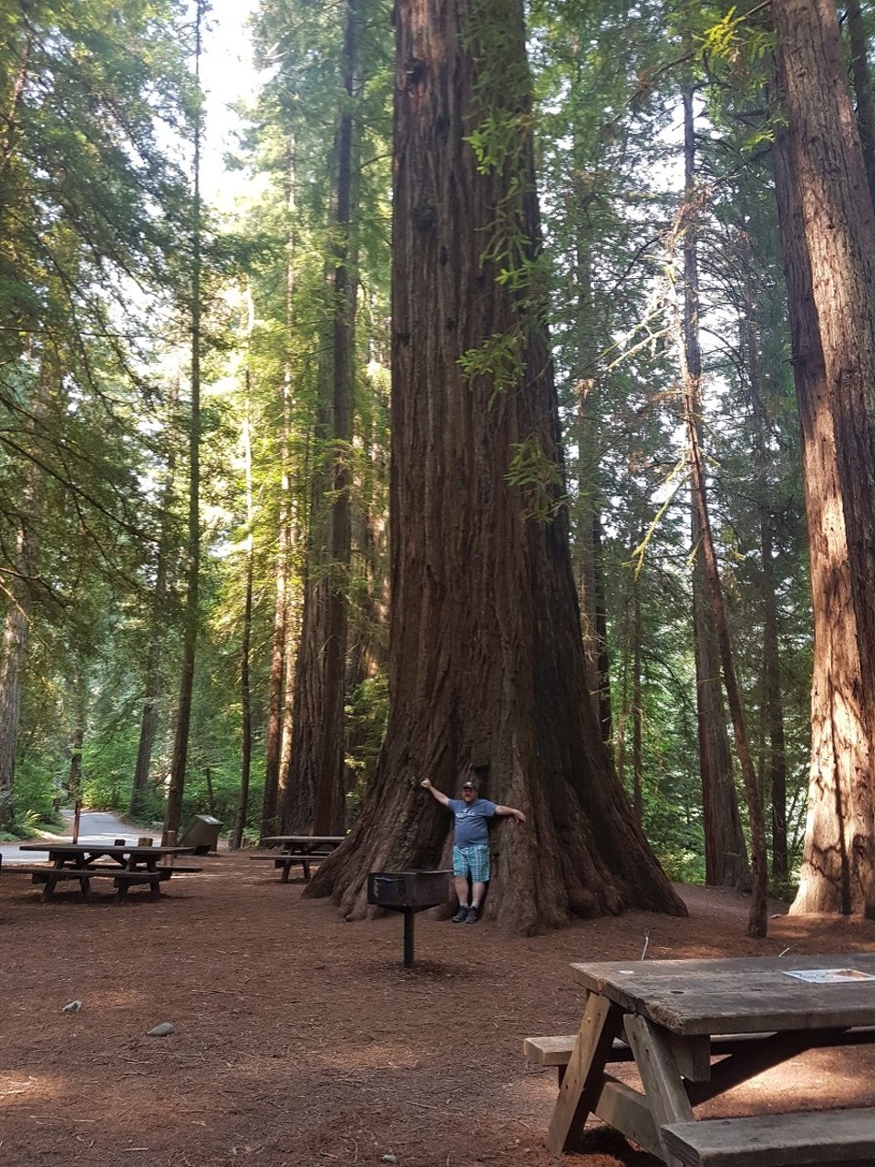 USA - Crescent City - 