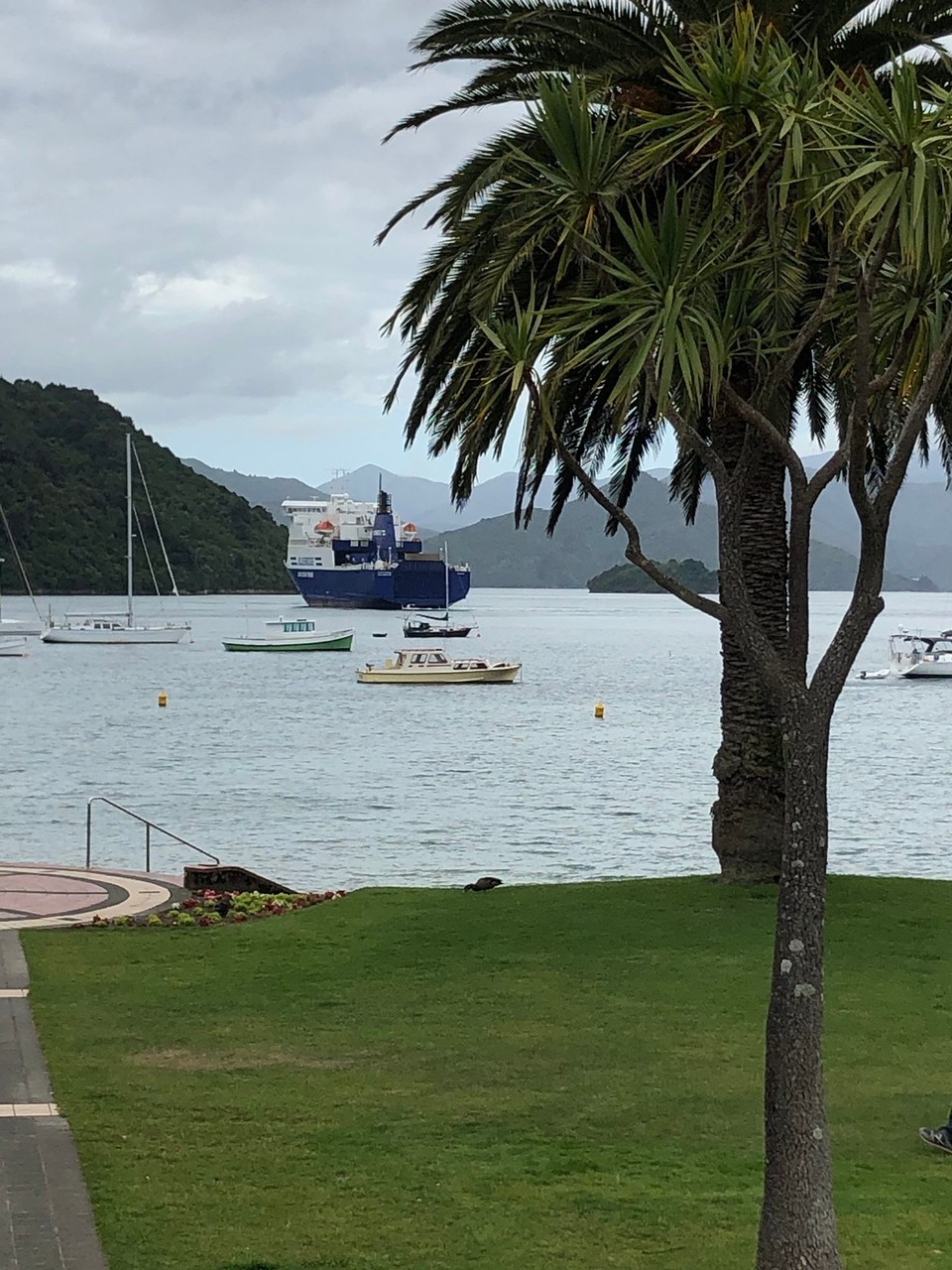Neuseeland - Picton - Fähre erreicht den Hafen 