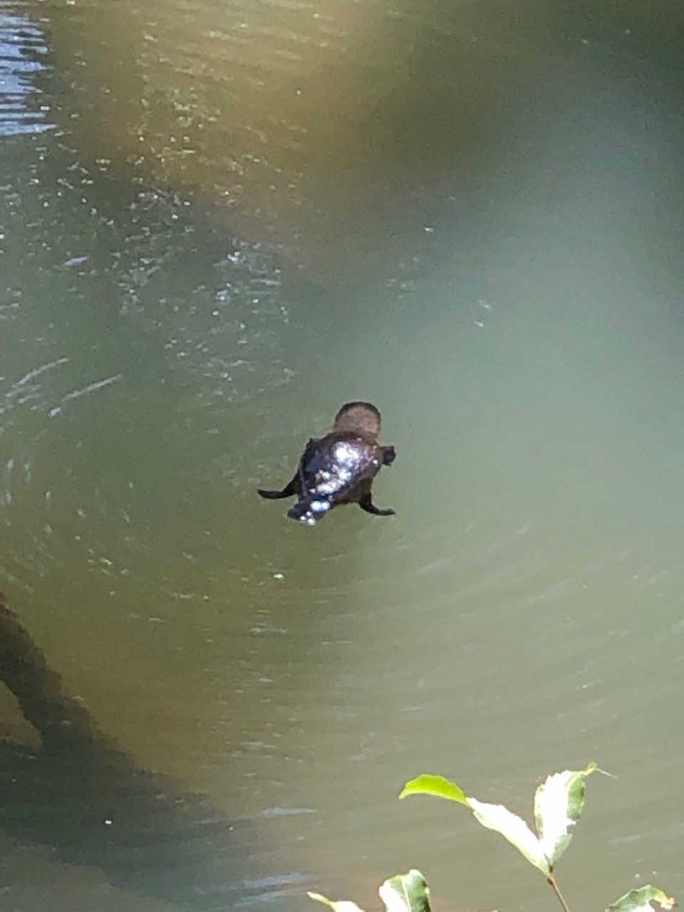 Australia - Mackay Harbour - 