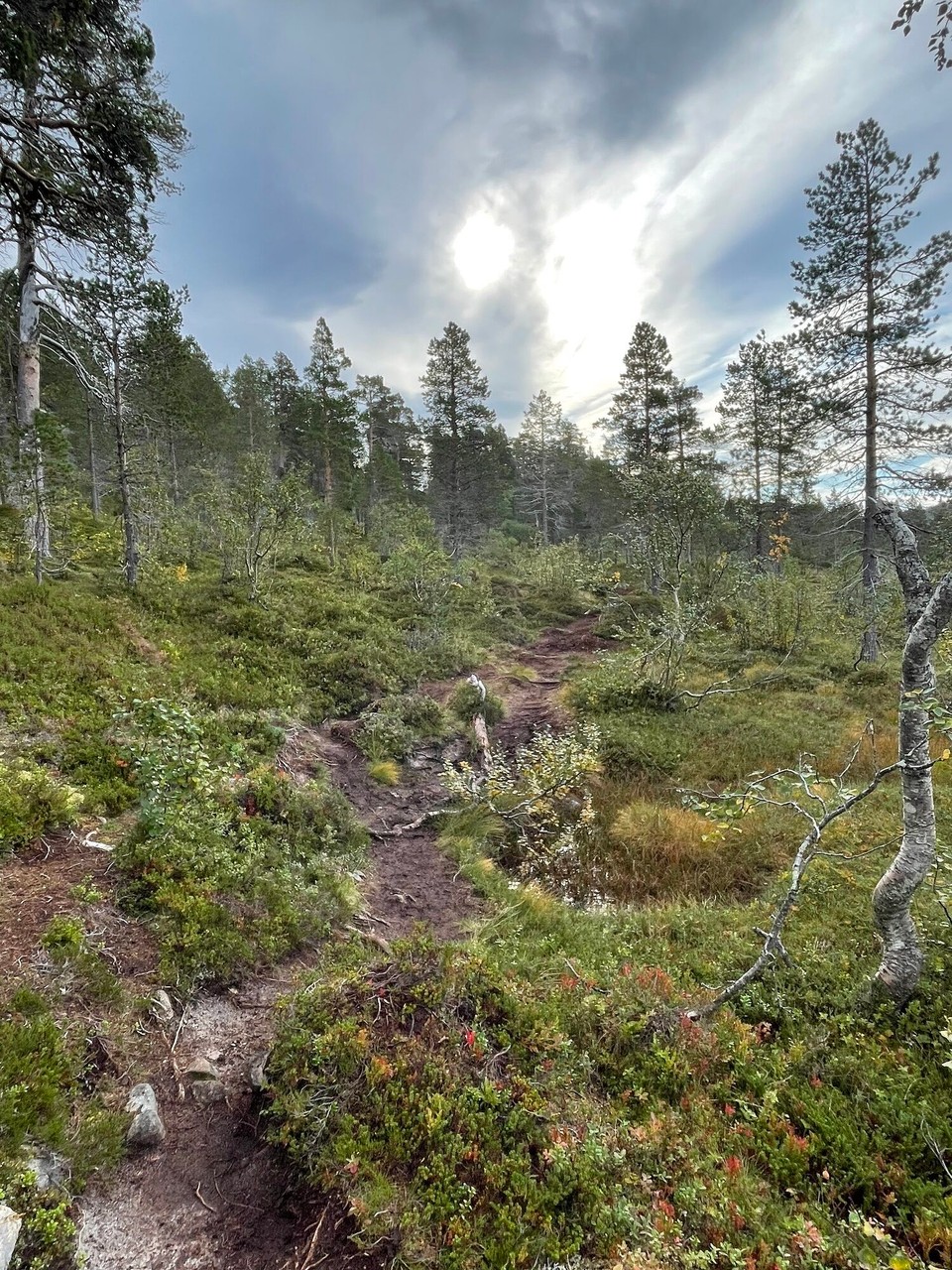 Norwegen - Skaland - 