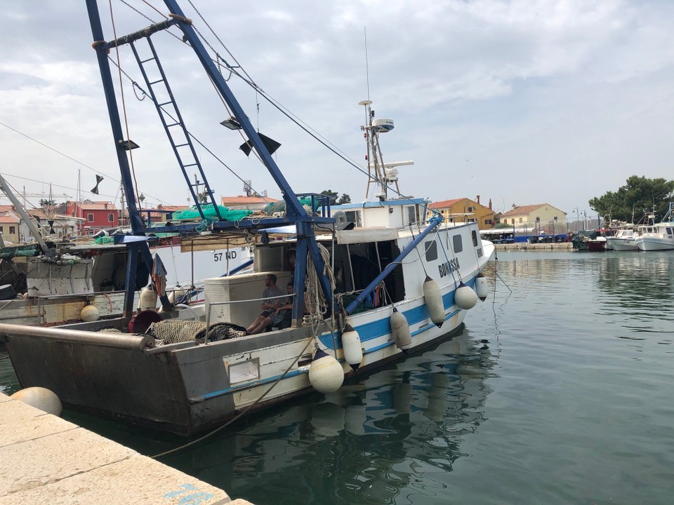 Kroatien - Novigrad - 