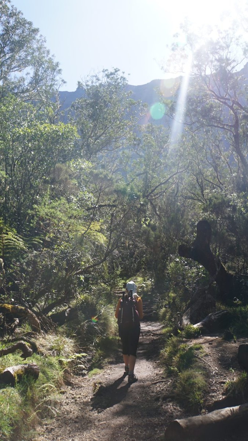 Réunion - Salazie - 