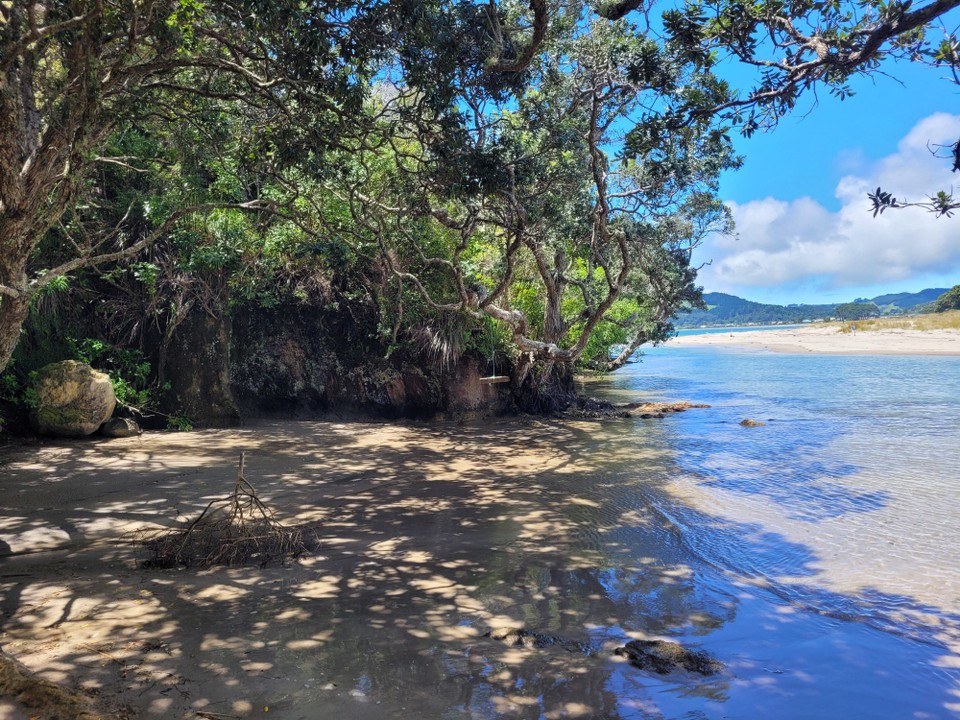 Neuseeland - Cooks Beach - 