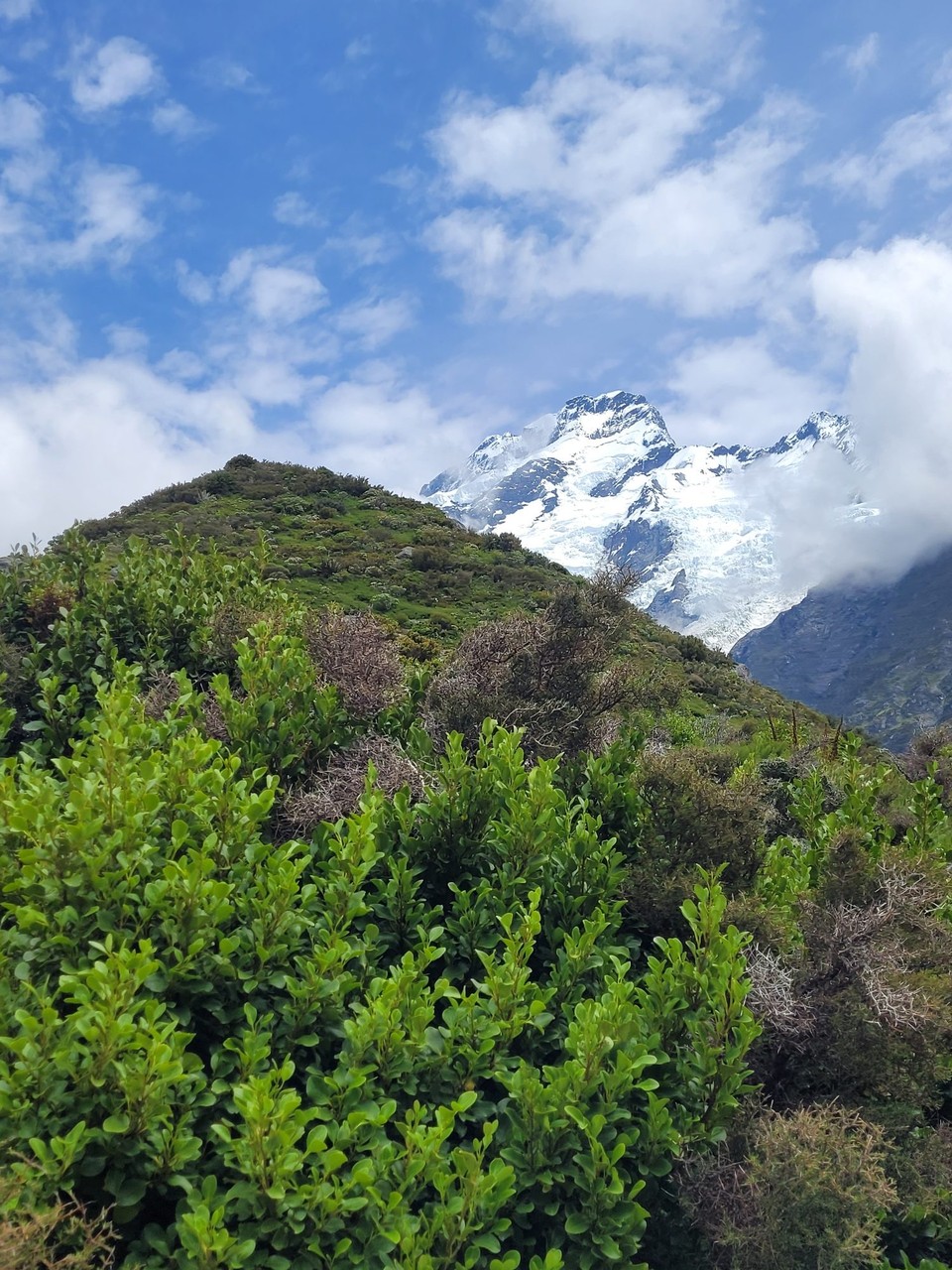 Neuseeland - Aoraki - 