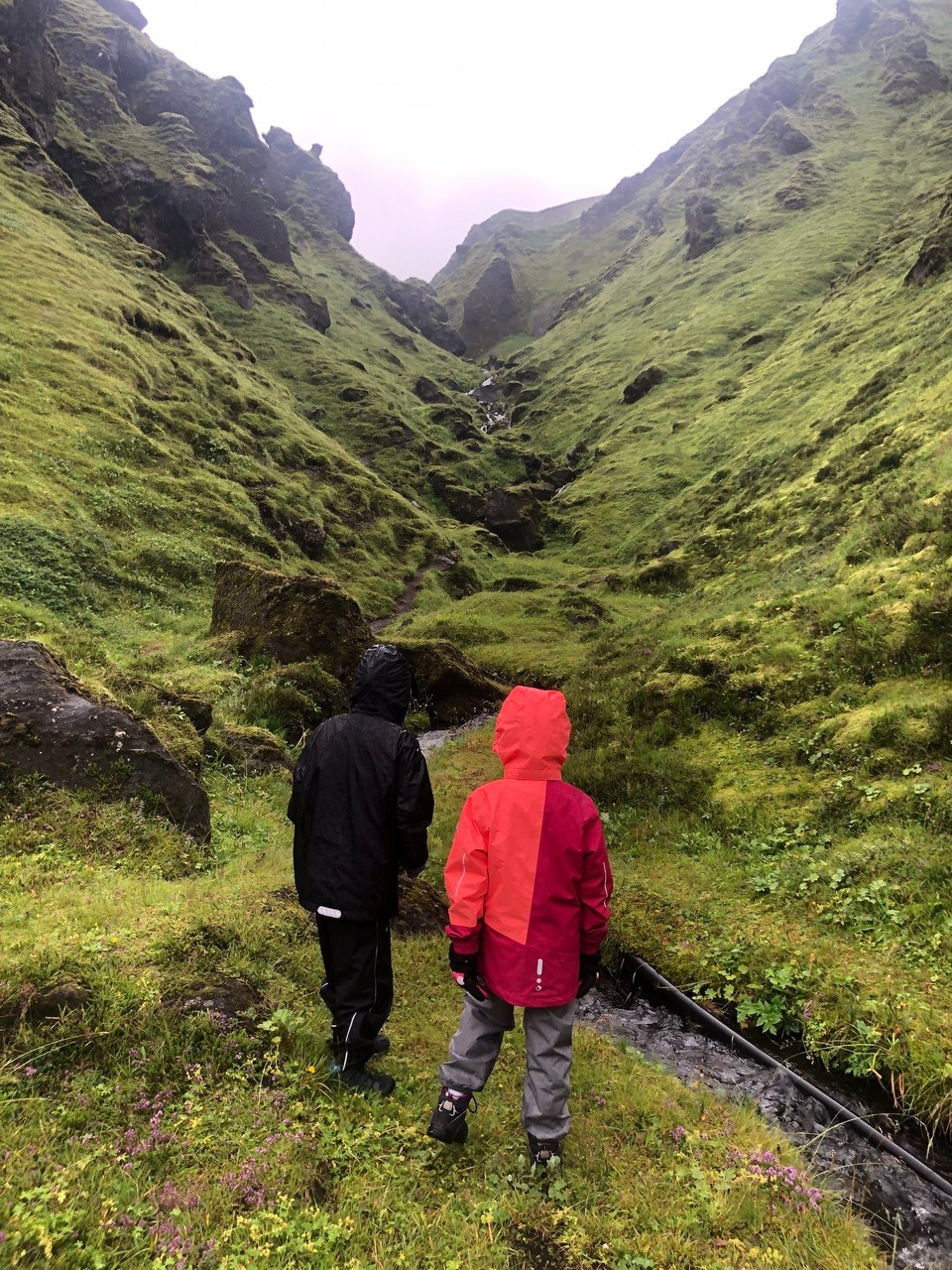 Island - Mýrdalshreppur - Lena und Freia sind sofort dabei, wenn es ums Klettern geht...😍