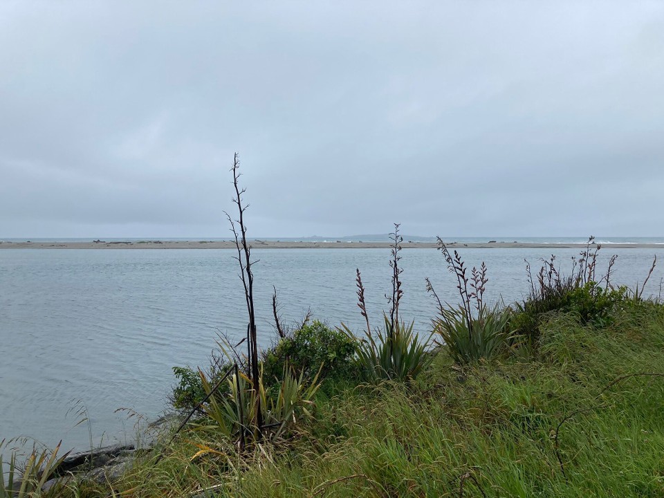 Neuseeland - Haast - Hinein in die Regenwolke 🙈