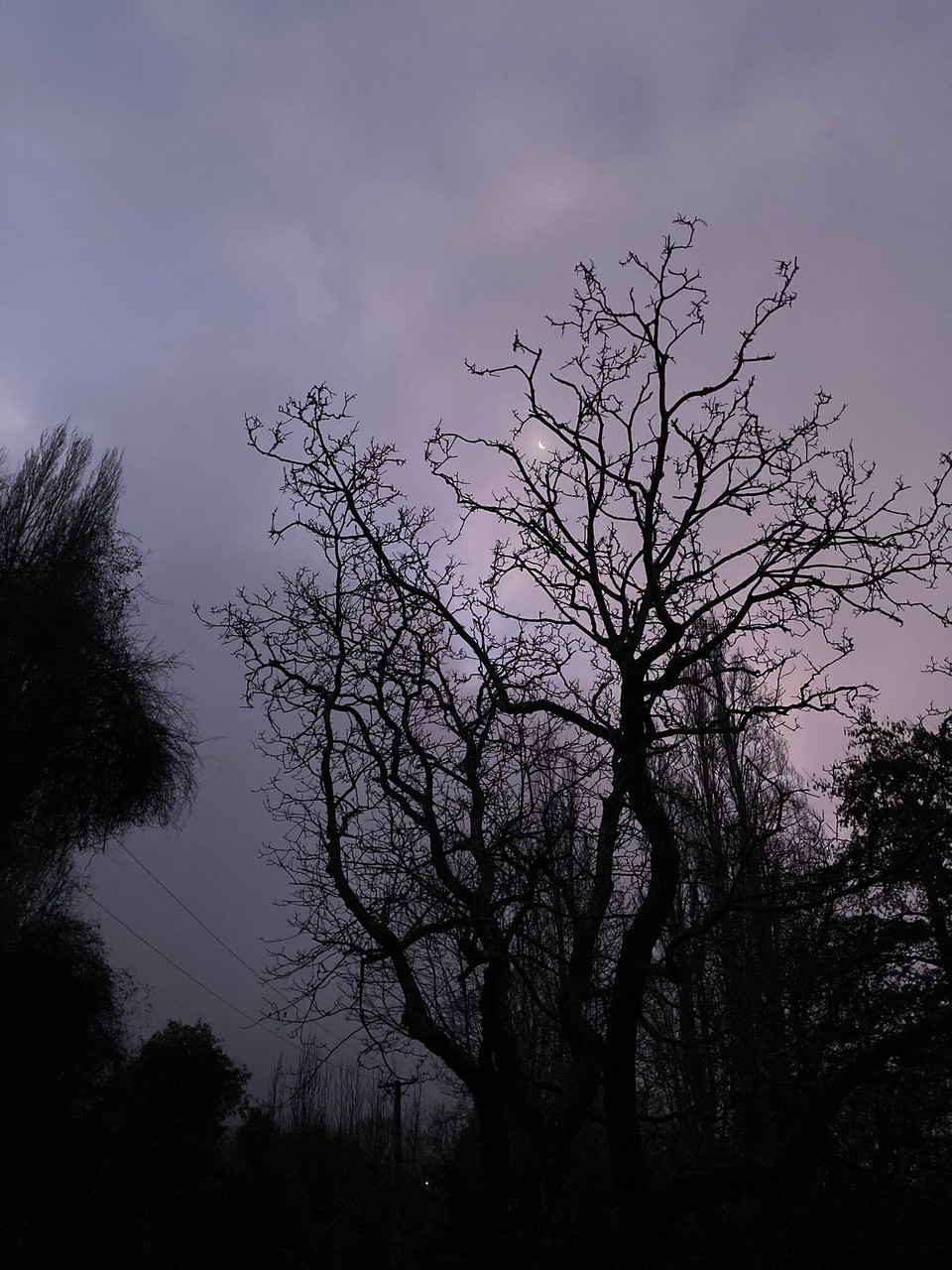 Neuseeland - Banks Peninsula Ward - 