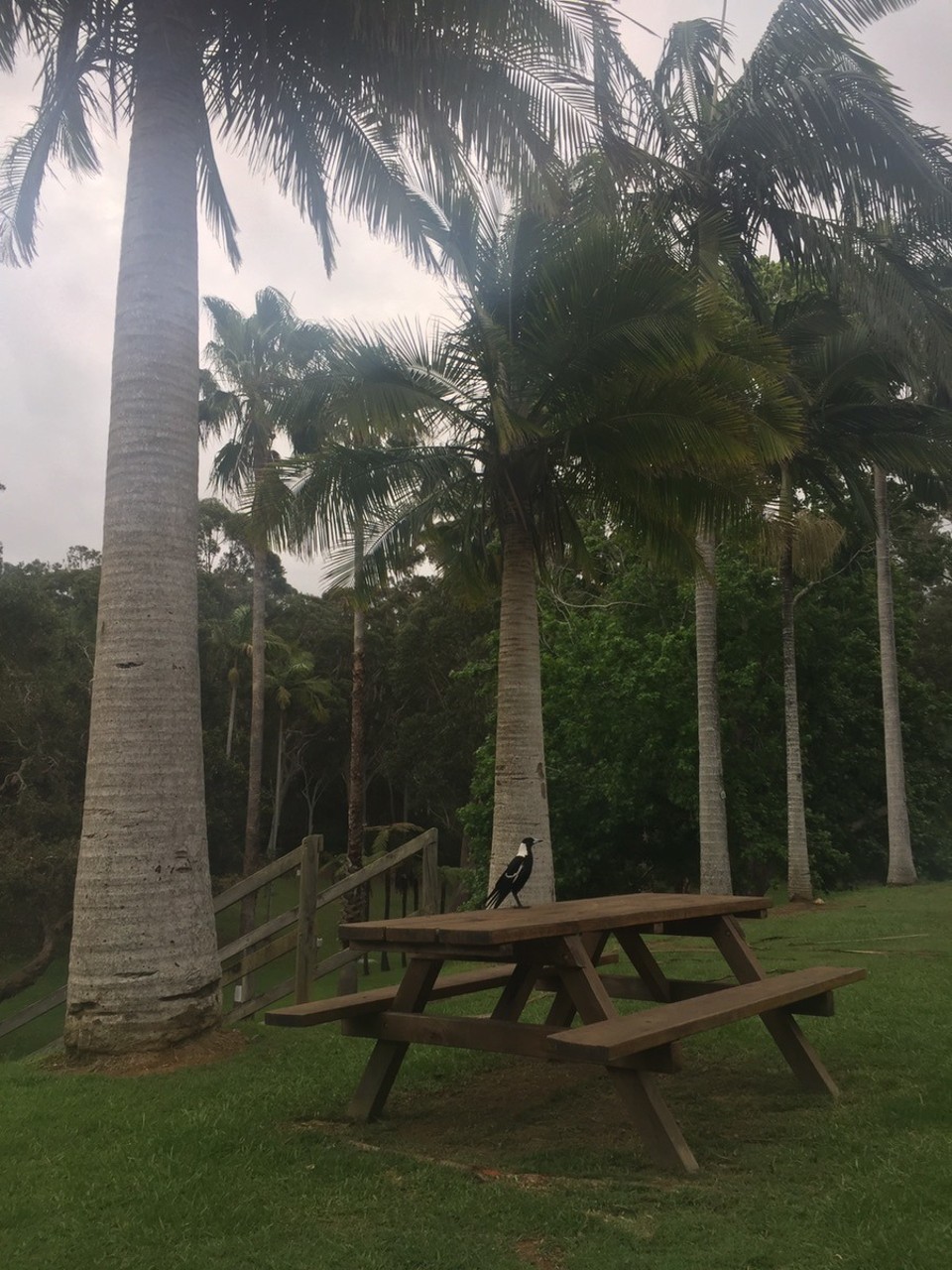  - Australia, Nambucca Heads Tourist Park - 